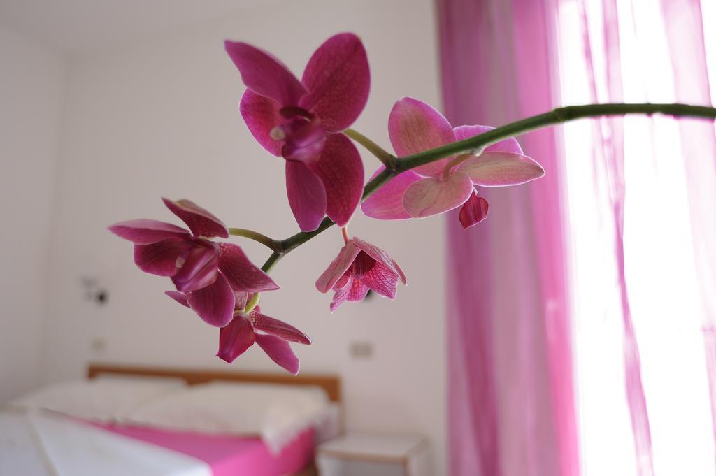 Solemare Hotel E Residence Misano Adriatico Εξωτερικό φωτογραφία